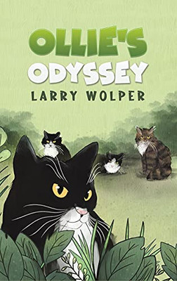 Ollie'S Odyssey - 9781647504298