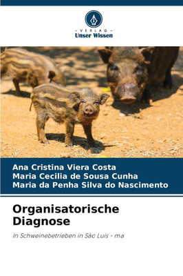 Organisatorische Diagnose