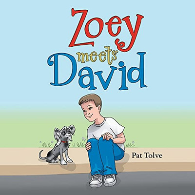 Zoey Meets David - 9781665703581