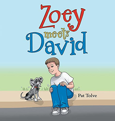 Zoey Meets David - 9781665703598