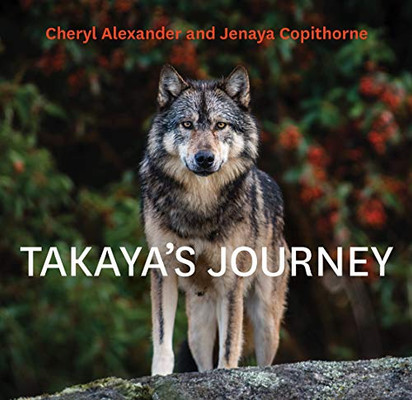 Takaya'S Journey - 9781771604895