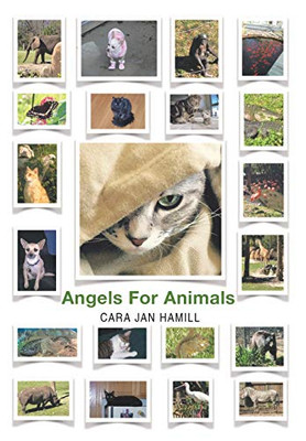 Angels For Animals - 9781640822368