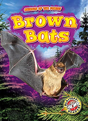 Brown Bats (Animals Of The Forest)
