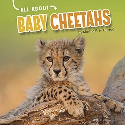 All About Baby Cheetahs (Oh Baby!)