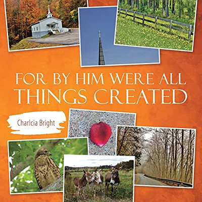 For By Him Were All Things Created