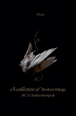 A Collection Of Broken Things