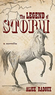 The Legend Of Storm - 9781039106048