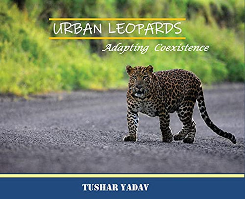 Urban Leopards, Adapting Coexistence