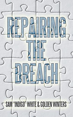 Repairing The Breach - 9781665522021