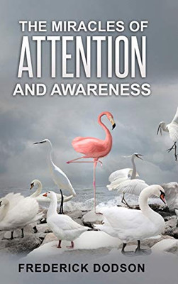 The Miracles Of Attention And Awareness
