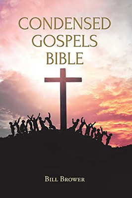 Condensed Gospels Bible - 9781098060091
