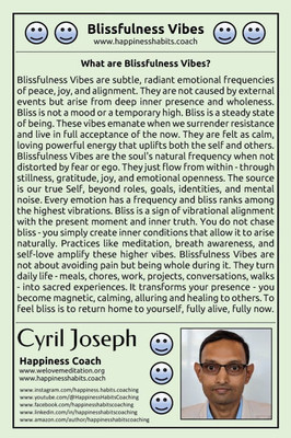Blissfulness Vibes - 9798287365752