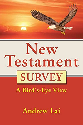 New Testament Survey: A Bird'S-Eye View