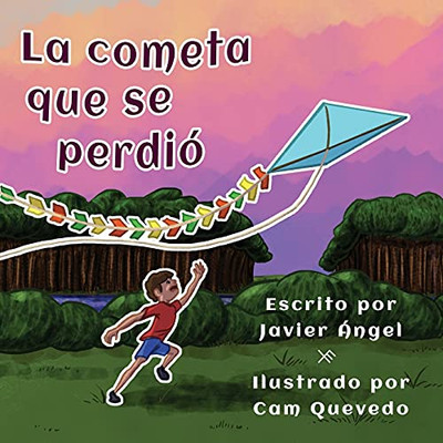 La Cometa Que Se Perdiã³ (Spanish Edition)