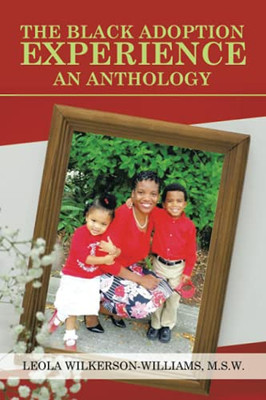 The Black Adoption Experience An Anthology