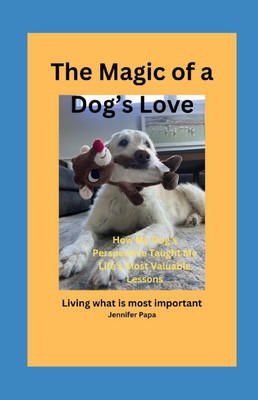 The Magic of a Dog's Love: How my dog's perspective taught me life's most valuable lessons