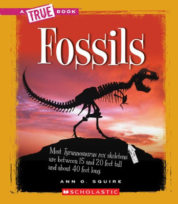 Fossils (A True Book: Earth Science)