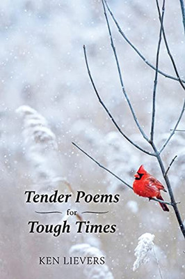 Tender Poems For Tough Times - 9781039108851