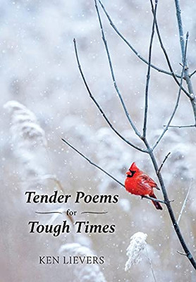 Tender Poems For Tough Times - 9781039108868