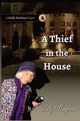 A Thief In The House (A Stella Madison Caper)