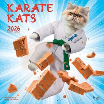 Karate Cats Official 2026 12 X 24 Inch (Hanging) Monthly Square Wall Calendar Plastic-Free