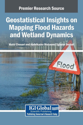 Geostatistical Insights on Mapping Flood Hazards and Wetland Dynamics - (Hardback or Cased Book)