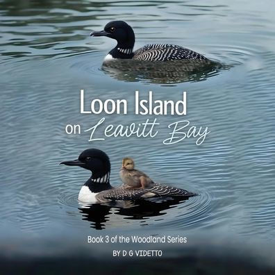 Loon Island on Leavitt Bay: The Woodland Series Book 3 - (Paperback or Softback)