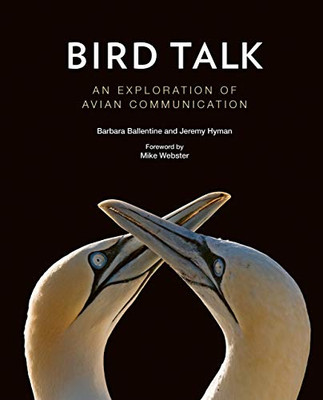 Bird Talk: An Exploration Of Avian Communication
