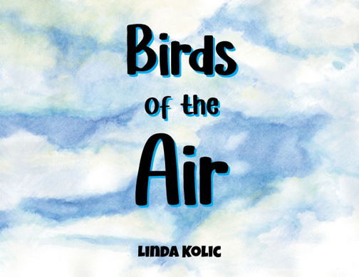 Birds of the Air - (Paperback or Softback)