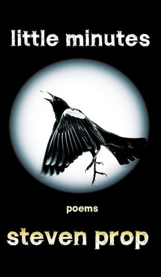 Little Minutes - (Hardback or Cased Book)
