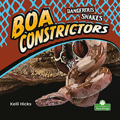 Boa Constrictors (Dangerous Snakes) - 9781427162380