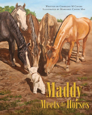 Maddy Meets the Horses - (Paperback or Softback)