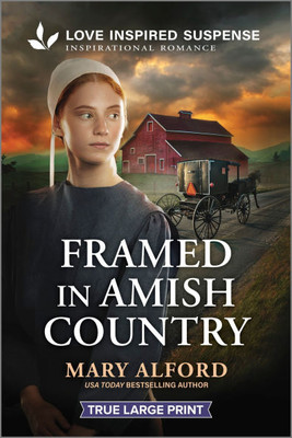 Framed in Amish Country - 9781335484222