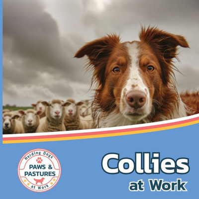 Collies at Work - (Paperback or Softback)