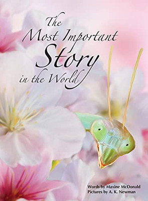 The Most Important Story In The World - 9781737404545