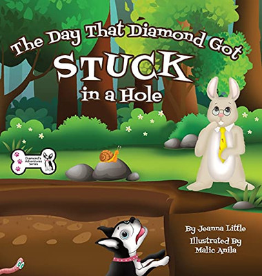 The Day That Diamond Got Stuck In A Hole - 9780578932637