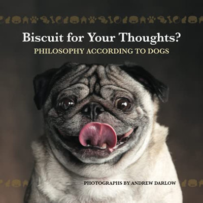 Biscuit For Your Thoughts?: Philosophy According To Dogs