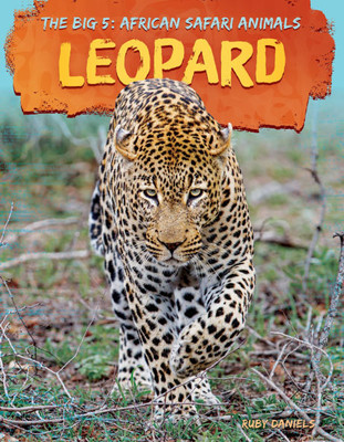 Leopard