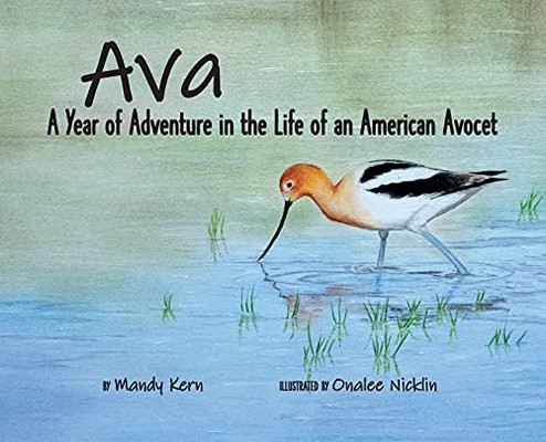 Ava: A Year Of Adventure In The Life Of An American Avocet