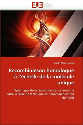 Recombinaison Homologue Ã€ l''Ã©chelle de la MolÃ©cule Unique