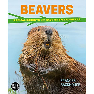 Beavers: Radical Rodents And Ecosystem Engineers (Orca Wild, 6)