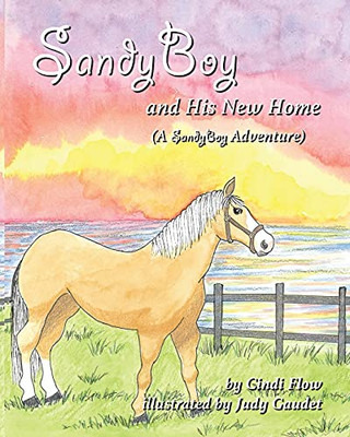 Sandyboy And His New Home (A Sandyboy Adventure) - 9781952041389