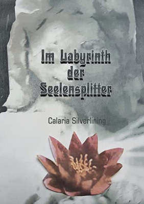 Im Labyrinth Der Seelensplitter (German Edition) - 9783347227453