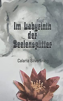 Im Labyrinth Der Seelensplitter (German Edition) - 9783347227460