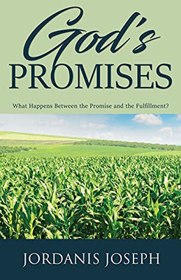 God'S Promises: What Happens Between The Promise And The Fulfillment?