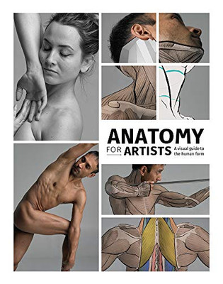 Anatomy For Artists: A Visual Guide To The Human Form - 9781912843107