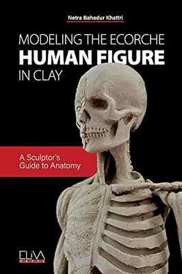 Modeling The Ecorche Human Figure In Clay: A Sculptor'S Guide To Anatomy
