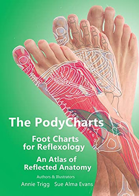 The Podycharts Foot Charts For Reflexology: An Atlas Of Reflected Anatomy