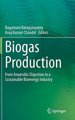Biogas Production: From Anaerobic Digestion To A Sustainable Bioenergy Industry