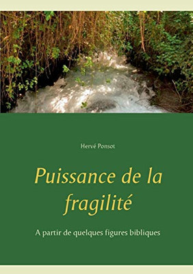 Puissance De La Fragilitã©: A Partir De Quelques Figures Bibliques (French Edition)